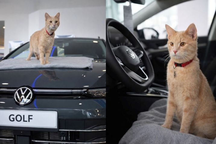 AutoMobil Körös Kft.