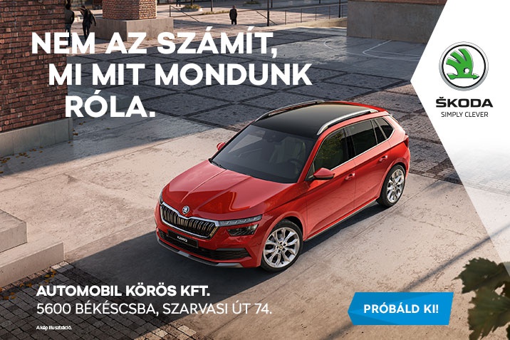 skoda_kamiq